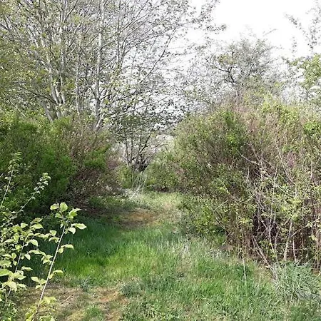 Landstedet Tatil Evi