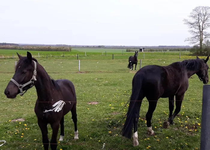 Landstedet *